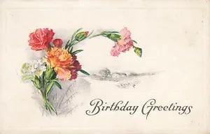 Birthday Greeting Postcard Carnation Flowers Colorful Posted 1917 Embossed