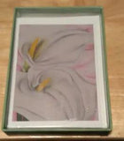 Pomegranate Notecards = Georgia O'Keeffe Two Calla Lilies on Pink  8 Count