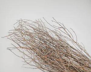 Sweet Huck Branches Natural Huckleberry Single Bunch