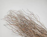 Sweet Huck Branches Natural Huckleberry Single Bunch