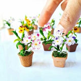 Tiny Orchid flowers pot , Dollhouse Miniatures , Tiny house , Fairy Garden Decoration , Tiny gifts , miniature gifts , miniature decors