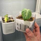 Skadis Nursery Pot
