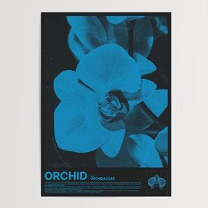 Orchid Flower Poster - Aesthetic Minimalist Wall Art Print for Dorms/Apartments, Grunge/Brutalist Style Decor, Ideal Flower Lover's Gift (B)