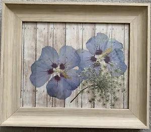 Rose of Sharon Pressed Flower Art Country Barn framed Queen Ann??s Lace Decor