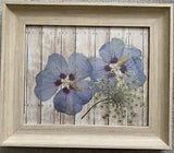 Rose of Sharon Pressed Flower Art Country Barn framed Queen Ann??s Lace Decor