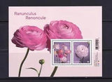S/S  # 3372    RANUNCULUS