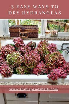 How to Dry Hydrangeas for Your Home D??cor Flower Delivery