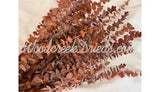 PRESERVED DYED ORANGE EUCALYPTUS FLORAL FOLIAGE FILLER FLOWER SCENTED