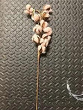Blush Cotton Stem Flower Cotton Boll Branches