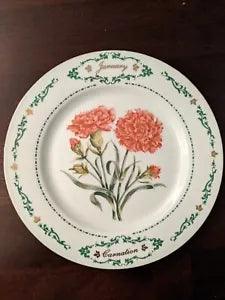 Domestications *BIRTH MONTH & FLOWER*8 1/4" SALAD PLATE* JANUARY CARNATION