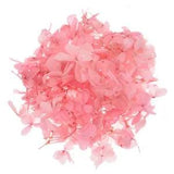 Natural Dried Hydrangea Flower DIY Materials Wedding Bride Bouquet Decoration