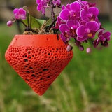 Strawberry Red Hanging Orchid Pot