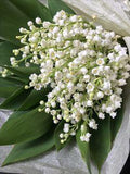 Muguet fleurs-privees Flower Delivery