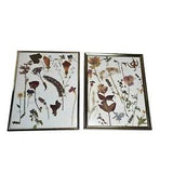 Vintage Dried Pressed Floral Set of 2 Pictures Gold Frame 8x10in
