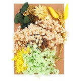 Natural Dried Flowers Multiple Real Dried Pressed Flowers Plant Yellow Series