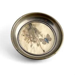 vintage pressed taxedermy dried flower coaster