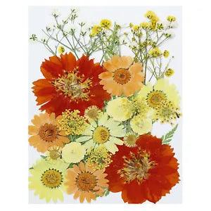 Dried Pressed Flowers Natural Leave Real Pressed Flowers Sunflower Style