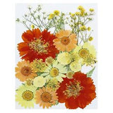 Dried Pressed Flowers Natural Leave Real Pressed Flowers Sunflower Style