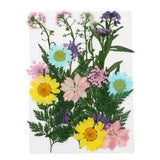 22 Pcs Dried Flowers for Soap Making Preserved Real Phone Case Mini Plants