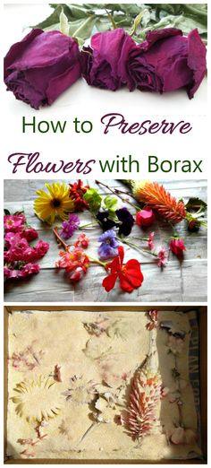 Preserve flowers with Borax - Tips for Best Results - The Gardening Cook Flower Delivery