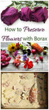 Preserve flowers with Borax - Tips for Best Results - The Gardening Cook Flower Delivery