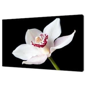 Beautiful White Orchid Flower Modern Floral Design Home Decor Canvas Print Wall Art Picture