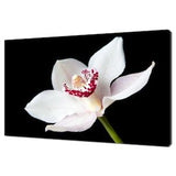 Beautiful White Orchid Flower Modern Floral Design Home Decor Canvas Print Wall Art Picture