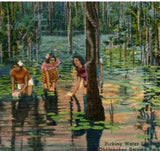 Waycross GA Okefenokee Swamp Park Girls Water Lily Vintage Linen Postcard-K2-248