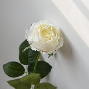 17" Real Touch Artificial Cabbage Roses, DIY Florals Supply | Wedding/Home/Kitchen Decoration | Gifts, DIY Bouquets/Centerpiece-Cream White