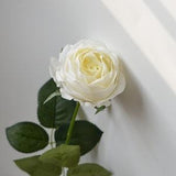 17" Real Touch Artificial Cabbage Roses, DIY Florals Supply | Wedding/Home/Kitchen Decoration | Gifts, DIY Bouquets/Centerpiece-Cream White