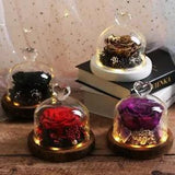 Dried Rose In Glass Wedding Christmas Valentine Day Gift For Girlfiend Mother