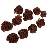10pcs DIY crafts supplies Practical Premium Creative Dried Flowers Dried