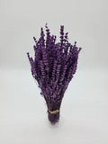 Natural Preserved Lavender Bundle - Flowers Perfect for Home Decor, Parties, Wed