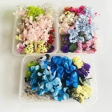 Create with Nature Real Dried Flower UV Resin Filler DIY Jewelry Making Craft
