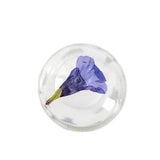 12PCS Real Pressed Dry Flower, violet flower for art candle craft FSS50