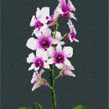 Needlepoint Kit or Canvas: Orchid Plant