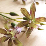 12 Olive with Red Stripe Cymbidium Orchids Flower Heads (FB0036-04-H) | artificial flower ??C flower crown ??C orchid wreath ??C diy bride ??C bride