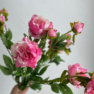 Faux Peony Floral Stem - High Quality Artificial Flower / DIY / Wedding / Home Decoration / Gifts / Gradient Fuchsia Pink