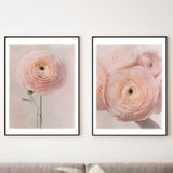 Pink Ranunculus, Blush Pink Wall, Botanical Print Set, Blush Nursery Decor, Flower Market Print, Botanical Wall Art, Nature Photography Set,
