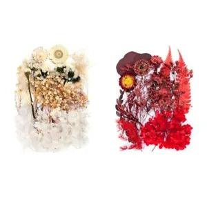 Mini Colorful Natural Pressed Flowers for Art Crafts DIY ,Bulk Decorative