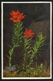SWITZERLAND # 46 MINT UNUSED STEHLI ORANGE LILY FLOWERS PLANTS