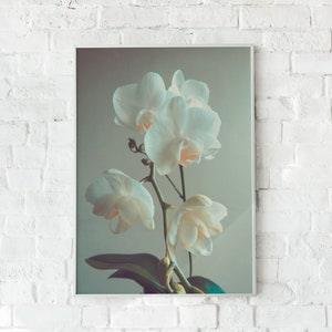 White Orchid Art Print, Printable Wall Art, Minimalist Art Print, Bedroom Wall Decor, Boho Wall Decor, Orchid Wall Art, Botanical Print