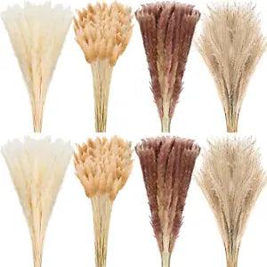 280 Pcs Dried Pampas Grass Bulk 17Inch Bunny Tails Grass Natural Dried Flowers B