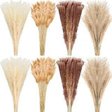 280 Pcs Dried Pampas Grass Bulk 17Inch Bunny Tails Grass Natural Dried Flowers B