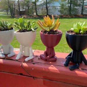 People Planter, Succulent Planter, Robert Plant Drainage, Zen Planter, Garden People, Planter Pot