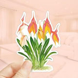 Masdevallia Sticker, Orchid Flower Sticker, Die Cut Sticker, Water Bottler Sticker, Laptop Decal, Vinyl Sticker, Plant Stickers,