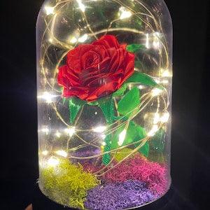 Rose In A Dome