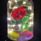 Rose In A Dome