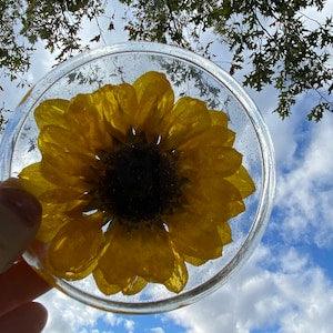 Dried Sunflower Coasters (Pair), Sunflower Gift, Living Room Decor, Floral Coasters