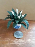 Dollhouse Miniature Peace Lily Plant w Flowers ~ Artisan Handcrafted 1:12 Scale
